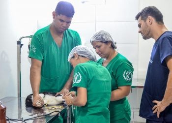 Clínica do Pet completa um ano de ações inovando no atendimento de animais domésticos