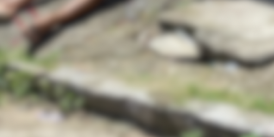 Desconhecidos surpreende homem e matam com diversos tiros em bairro de João Pessoa