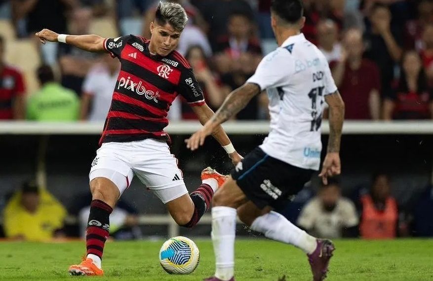 Flamengo vence o Grêmio e assume liderança do Brasileirão