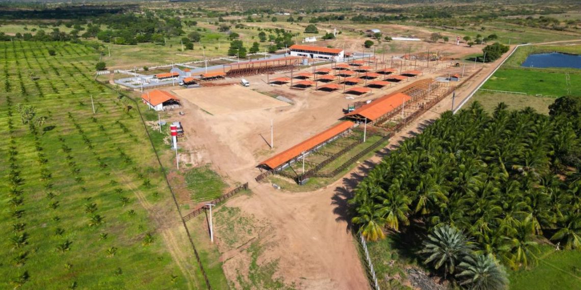 FAEPA e SENAR participam da Expo Sousa neste final de semana