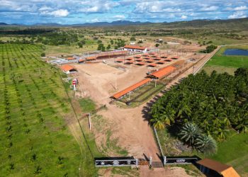 FAEPA e SENAR participam da Expo Sousa neste final de semana