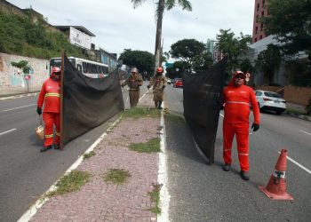 Emlur executa serviços de zeladoria em grandes corredores viários de João Pessoa