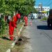 Emlur executa serviços de zeladoria em 18 bairros ao longo da semana