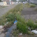 Blogueiro denuncia descaso de Luciene com a saúde e infraestrura em Bayeux: “vivemos como porcos”