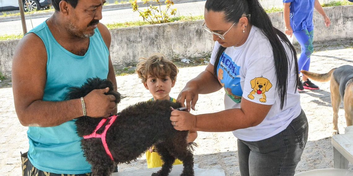População atende ao chamamento para o Dia D de vacinação antirrábica animal em João Pessoa