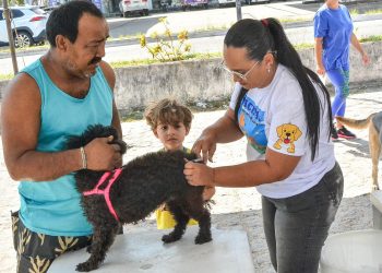 População atende ao chamamento para o Dia D de vacinação antirrábica animal em João Pessoa