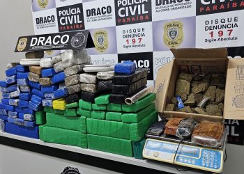 Operação da Polícia Civil em Campina Grande apreende mais de 100kg de drogas
