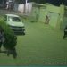 Fake News: prefeita Lorena e candidata Ana Paula são vítimas de panfletos apócrifos em Monteiro