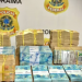 Polícia Federal prende empresário com R$ 500 mil em dinheiro vivo