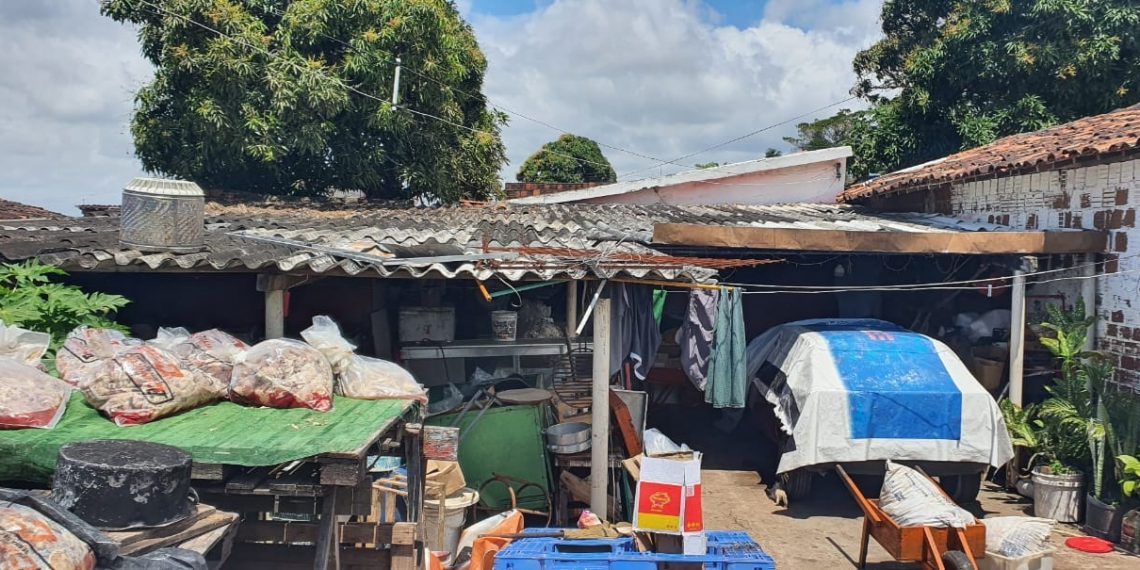 Operação da polícia fecha depósito clandestino de carnes, em Cruz das Armas