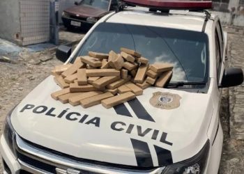 Polícia Civil encontra 60 tabletes de maconha em área de mata