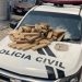 Polícia Civil encontra 60 tabletes de maconha em área de mata