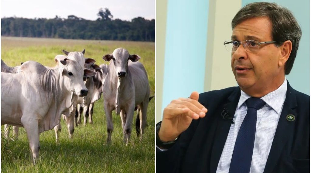 Ex ministro Gilso Machado omite mais de R$ 3 milhões em gado em sua declaração de bens
