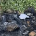 Corpo é encontrado queimado no Varadouro, em João Pessoa