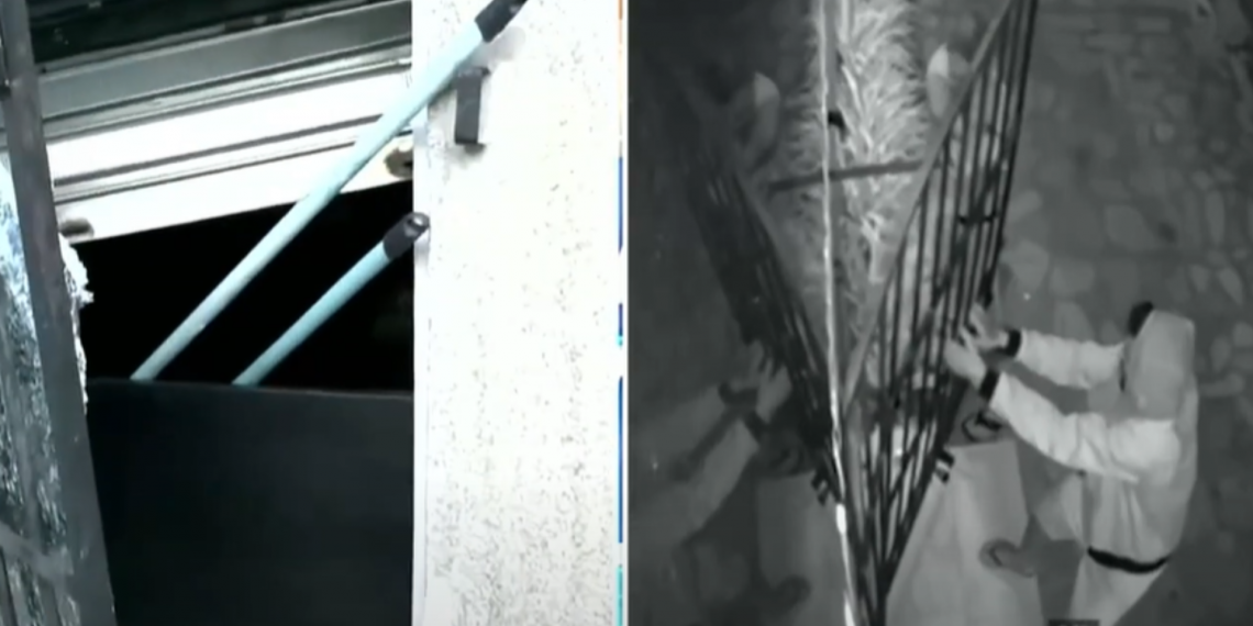 Criminosos arrombam loja de celulares durante a madrugada em João Pessoa