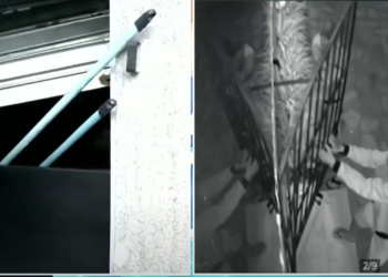 Criminosos arrombam loja de celulares durante a madrugada em João Pessoa