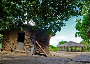 Operação prende suspeito de tráfico que estaria ameaçando indígenas, no município de Marcação