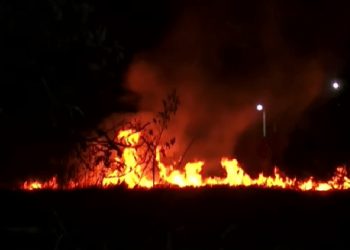 Incêndio de grandes proporções em terreno mobiliza bombeiros, em Bayeux