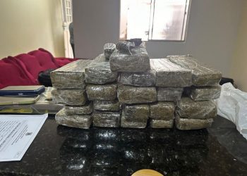 Operação da PF para investigar crime de falsificação e distribuição de moedas falsas na PB termina com apreensão de maconha