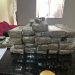 Operação da PF para investigar crime de falsificação e distribuição de moedas falsas na PB termina com apreensão de maconha