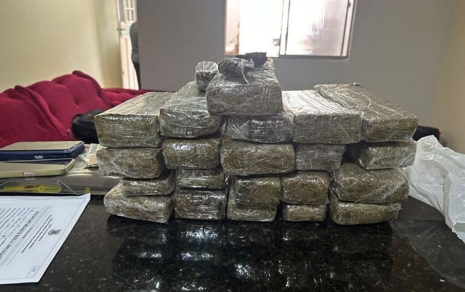 Operação da PF para investigar crime de falsificação e distribuição de moedas falsas na PB termina com apreensão de maconha