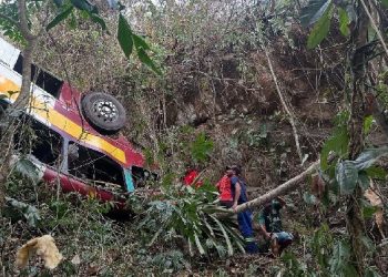 TRAGÉDIA: Ônibus escolar cai em ribanceira e 17 pessoas morrem em acidente em Alagoas