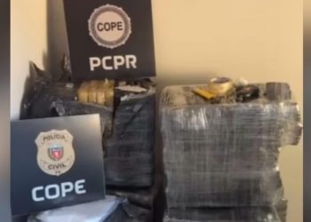 275 kg de drogas são apreendidas em operação conjunta