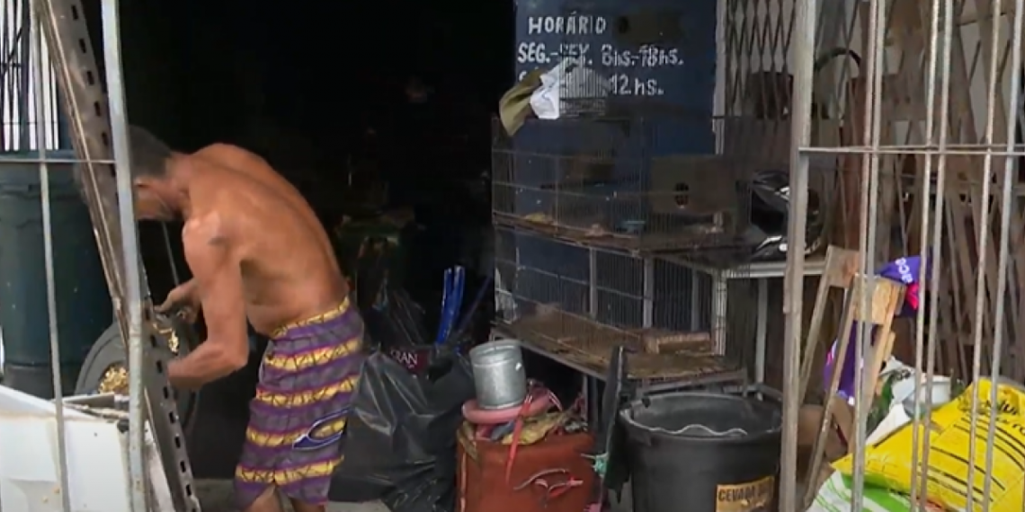 Incêndio atinge pet shop no bairro dos Novais; animais morreram