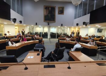 Professora da UFPB ministra aula na Comissão de Cultura