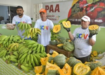 PAA Natalino atende famílias em situação de vulnerabilidade no Sertão