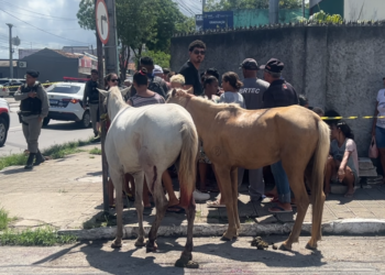 Imagens de segurança podem elucidar homicídio e ataque a cavalo em João Pessoa
