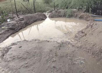 Menina de seis anos morre afogada em barreiro no quintal de casa em Taperoá, no Cariri