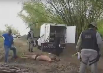 Corpos carbonizados encontrados em Alhandra são identificados pela polícia