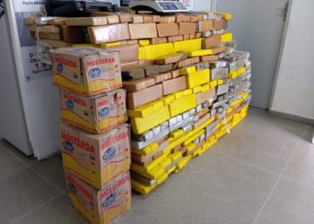 Operação policial apreende quase 280 kg de drogas na Paraíba