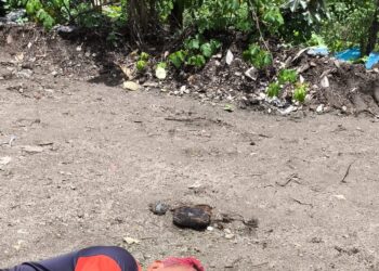 Homem mata mulher a golpes de face e tenta suicídio, em Galante