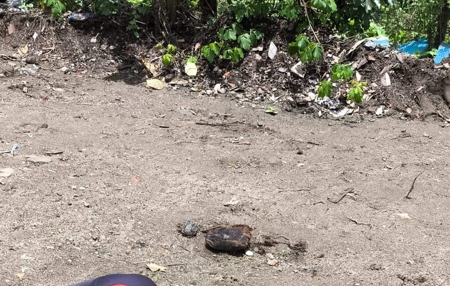 Homem mata mulher a golpes de face e tenta suicídio, em Galante