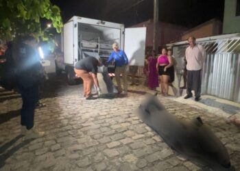 Jovem é morto a tiros e outras três pessoas ficam feridas no Bairro do Róger