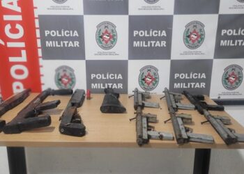 Polícia encontra arsenal de armas enterrado em mata após denúncias, na capital