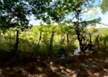 Corpo é encontrado em região de mata entre João Pessoa e Santa Rita; polícia investiga execução