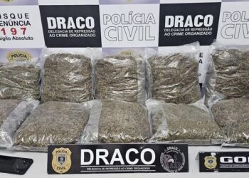 Operação policial termina com apreensão de 10 quilos de maconha, em Queimadas