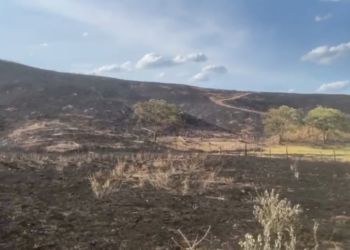 Fazendeiro é indiciado por incêndio que destruiu reserva florestal no Sertão da PB