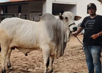 Bananeiras sedia Feira Agropecuária do Brejo Paraibano com expectativa de R$ 20 milhões em negócios