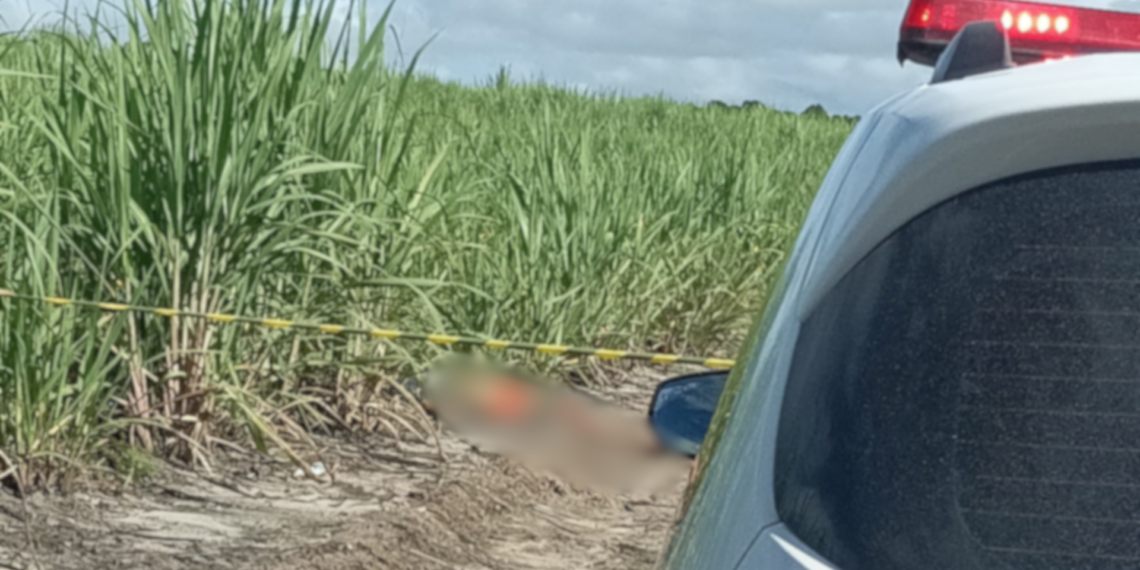 Homem é encontrado morto em canavial em Santa Rita, na Grande João Pessoa