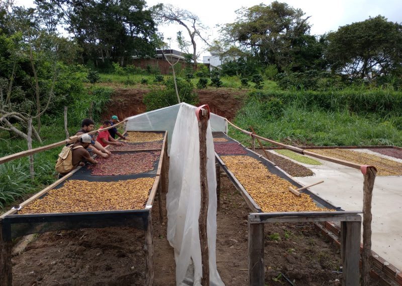 Areia sedia primeiro encontro nacional de Cafeicultura do Brejo da PB em abril
