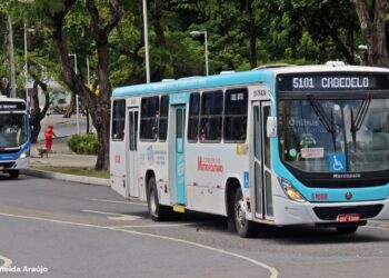 Dupla é presa com 25 kg de drogas na BR-101, próximo a Conde