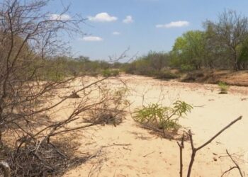 União reconhece situação de emergência em mais três cidades da PB; Estado tem agora 120 cidades afetadas pela estiagem