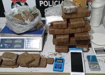 Polícia Civil apreende 40 quilos de maconha em casa de bairro nobre de CG