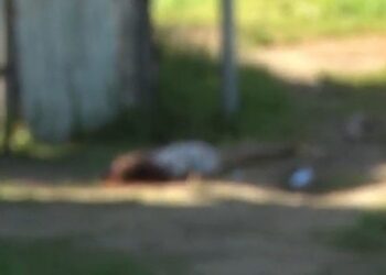 Mulher é assassinada a tiros durante a madrugada em Bayeux