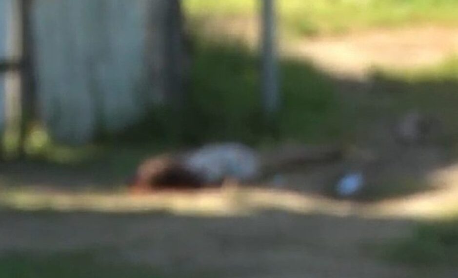 Mulher é assassinada a tiros durante a madrugada em Bayeux