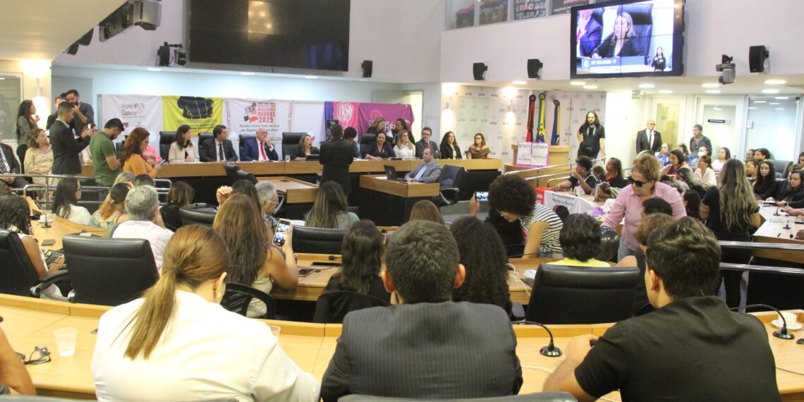 Comissão dos Direitos da Mulher da ALPB debate violência obstétrica na Paraíba